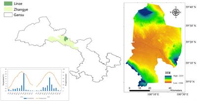 Soil organic matter on arid saline-alkali land drives greenhouse gas emissions from artificial and natural grasslands in different directions